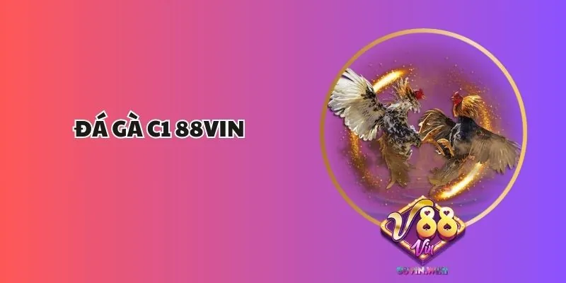 Đá Gà C1 88vin – Sân Chơi Đẳng Cấp Cho Những Trận Đấu Gay Cấn 1 Đá Gà C1 88vin