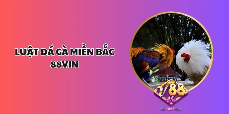 Luật Đá Gà Miền Bắc 88vin
